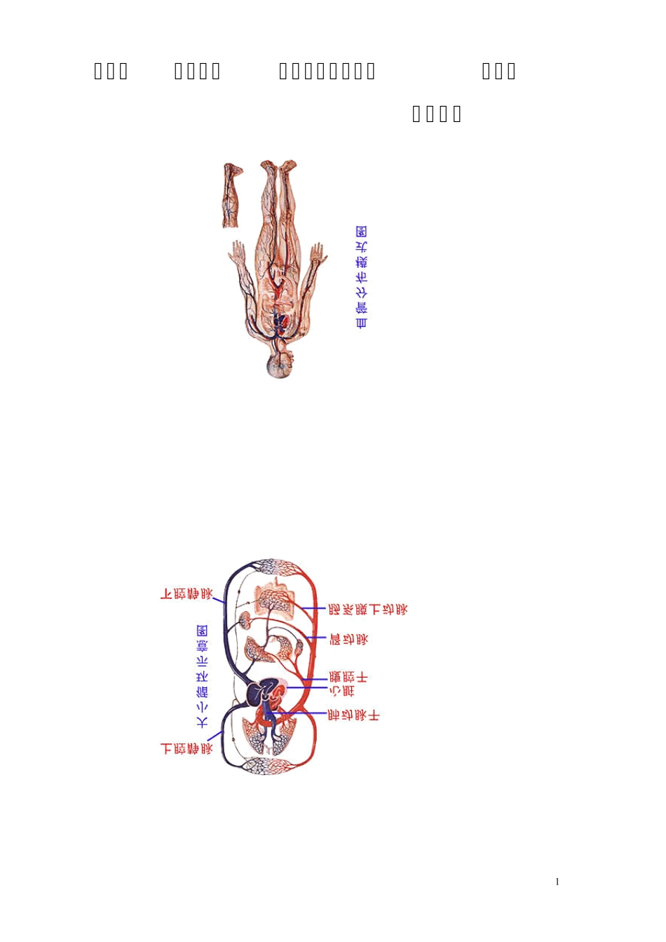 生物医学资料最全的人体解剖图图片_第1页