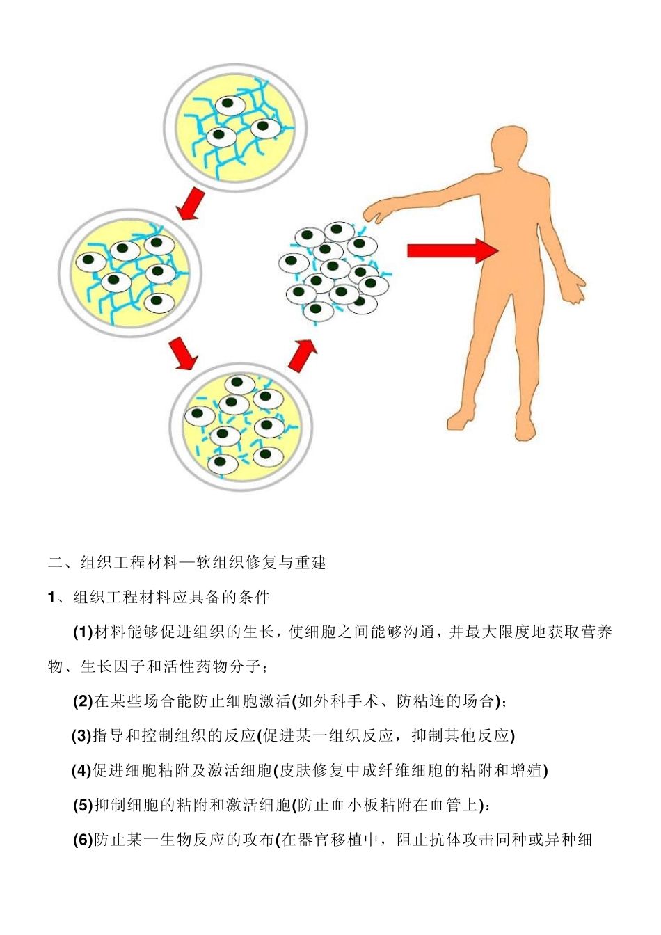 生物医用材料专题2组织工程材料与人工器官软组织修复与重建_第2页