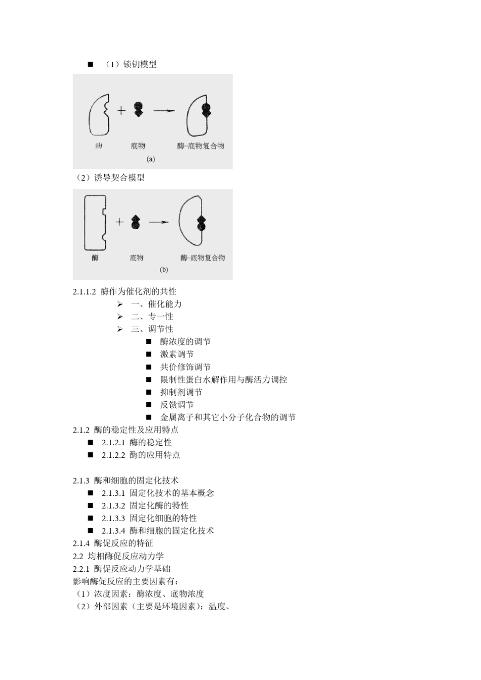 生物反应及反应器原理_第2页