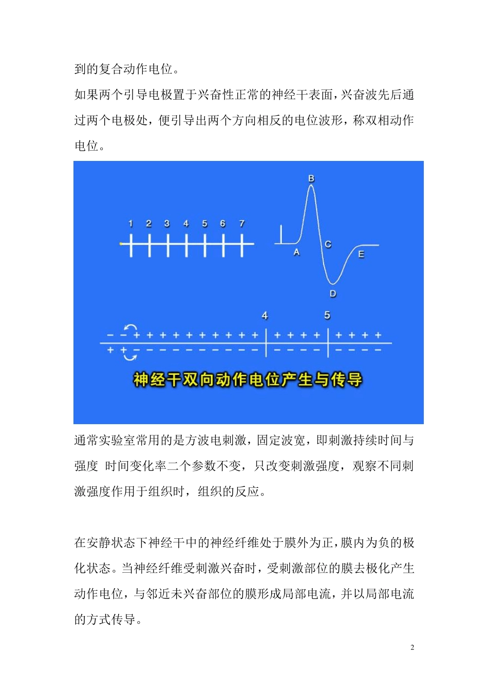 生物实验报告神经传导速度测定_第2页