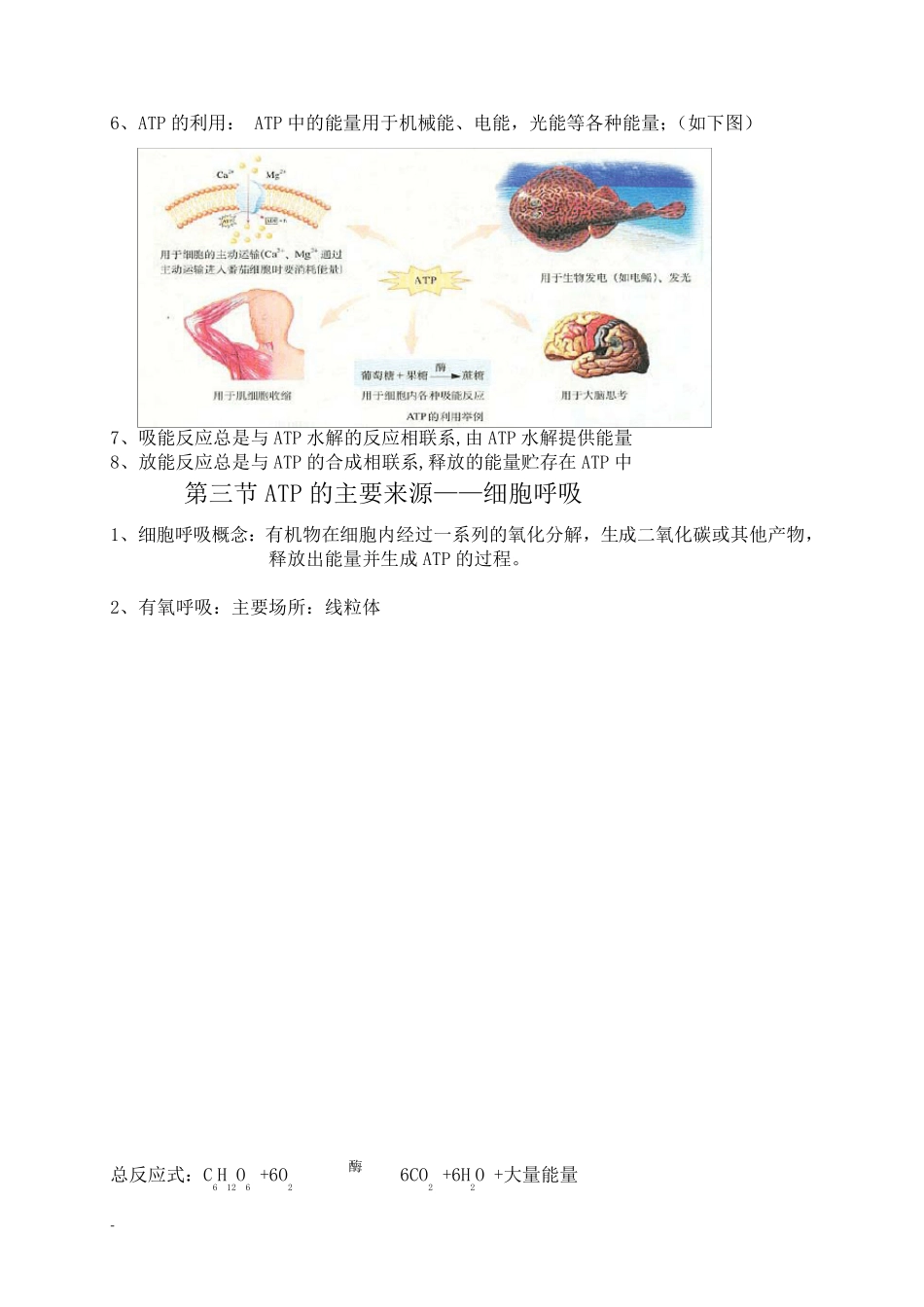 生物必修一第五章知识点总结全_第3页