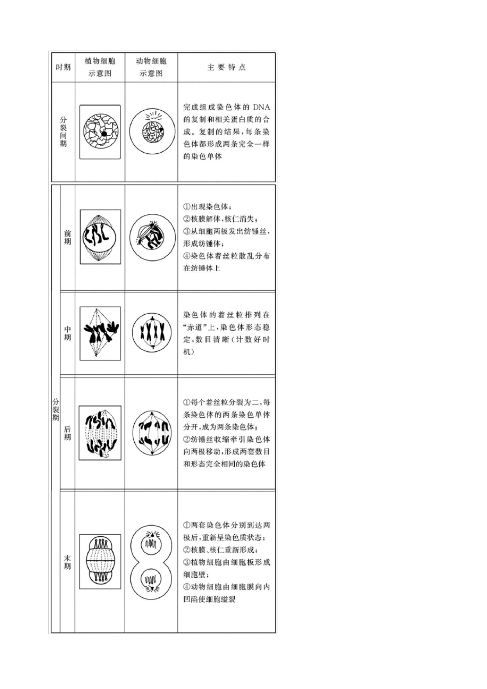 生物必修一第六章第一节细胞的增殖知识总结_第2页