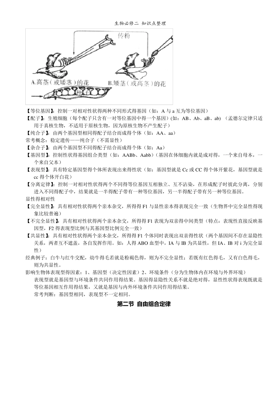 生物必修二知识点整理_第2页