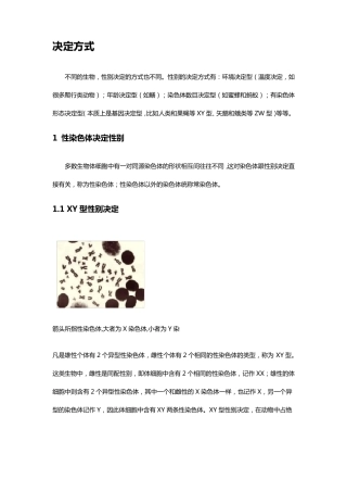 生物性别决定方式