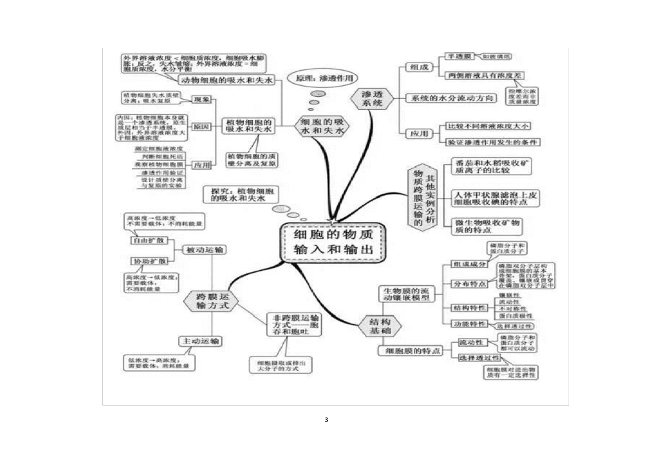 生物思维导图_第3页