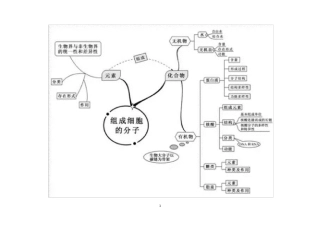 生物思维导图