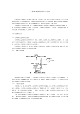 生物流化床的类型及特点