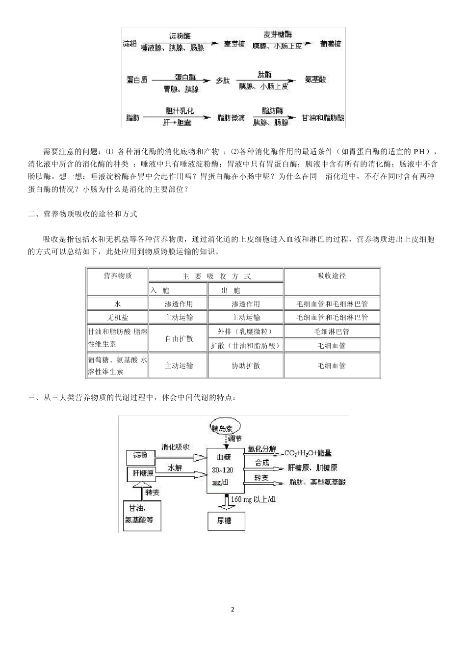生物的新陈代谢人和动物体内三大类营养物质的代谢内环境的稳定新陈代谢的基本类型_第2页