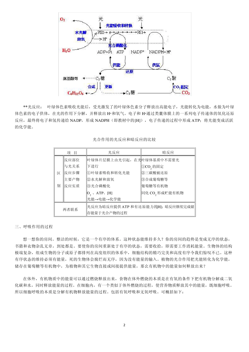 生物的新陈代谢光合作用呼吸作用_第2页