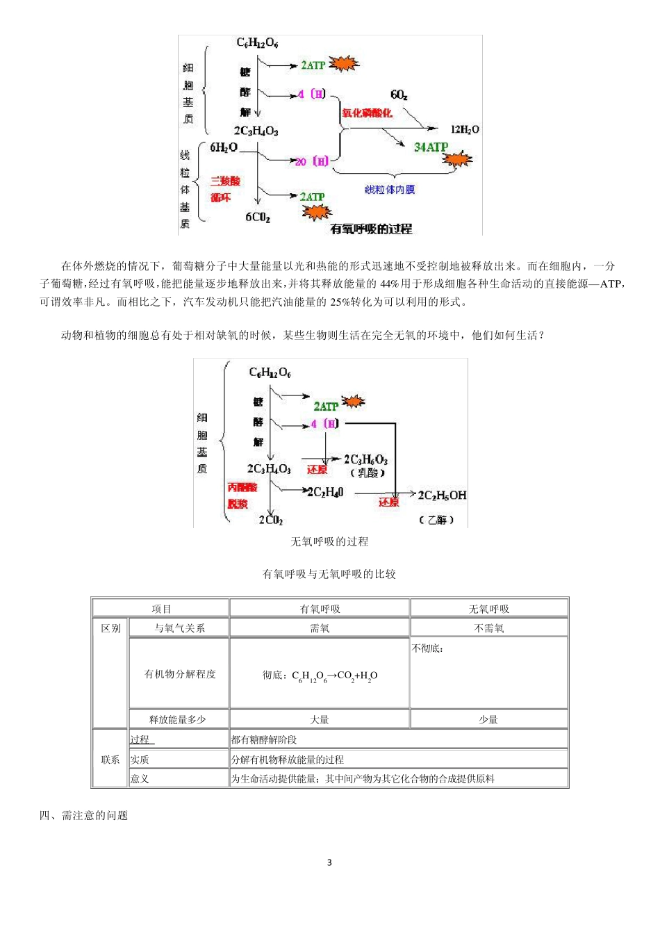 生物的新陈代谢光合作用呼吸作用_第3页