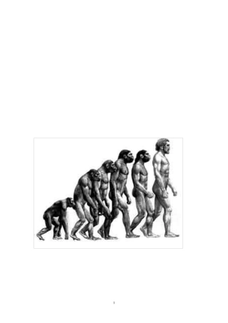 生物的进化与演变的历程