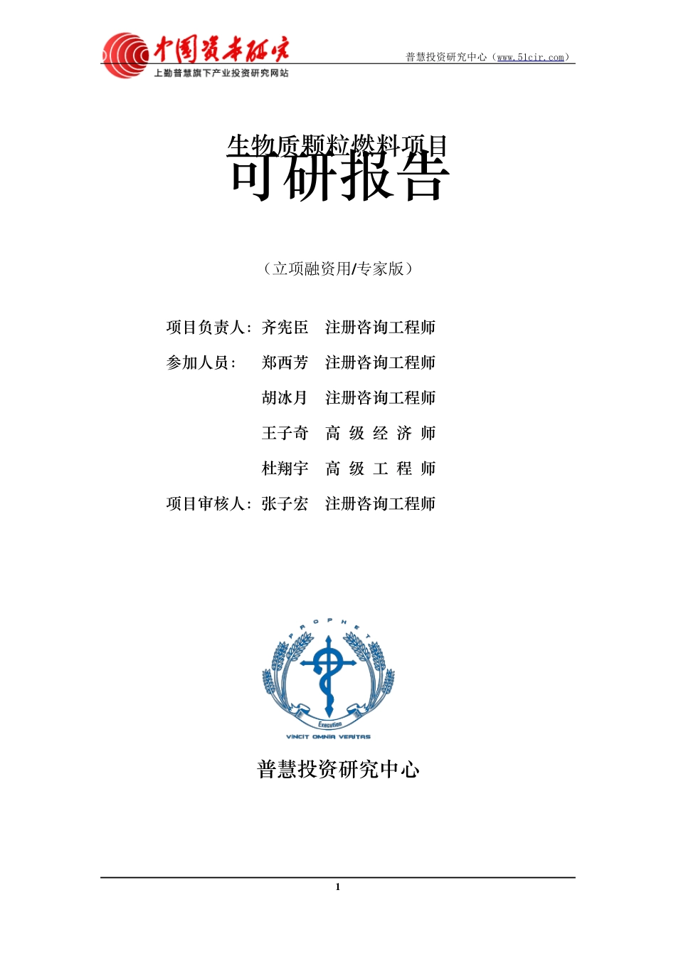 生物质颗粒燃料项目可研报告立项融资用(专家版)_第2页