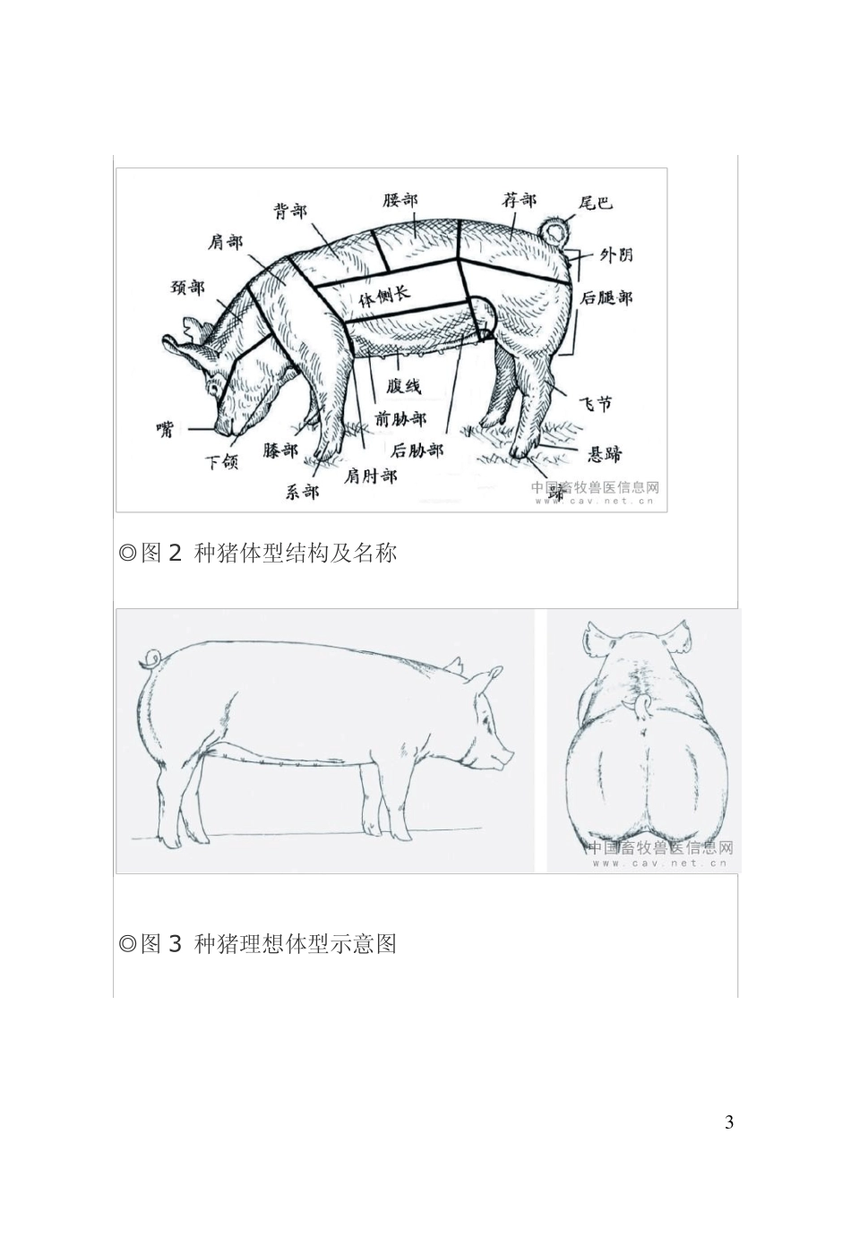 生猪养殖主推技术_第3页