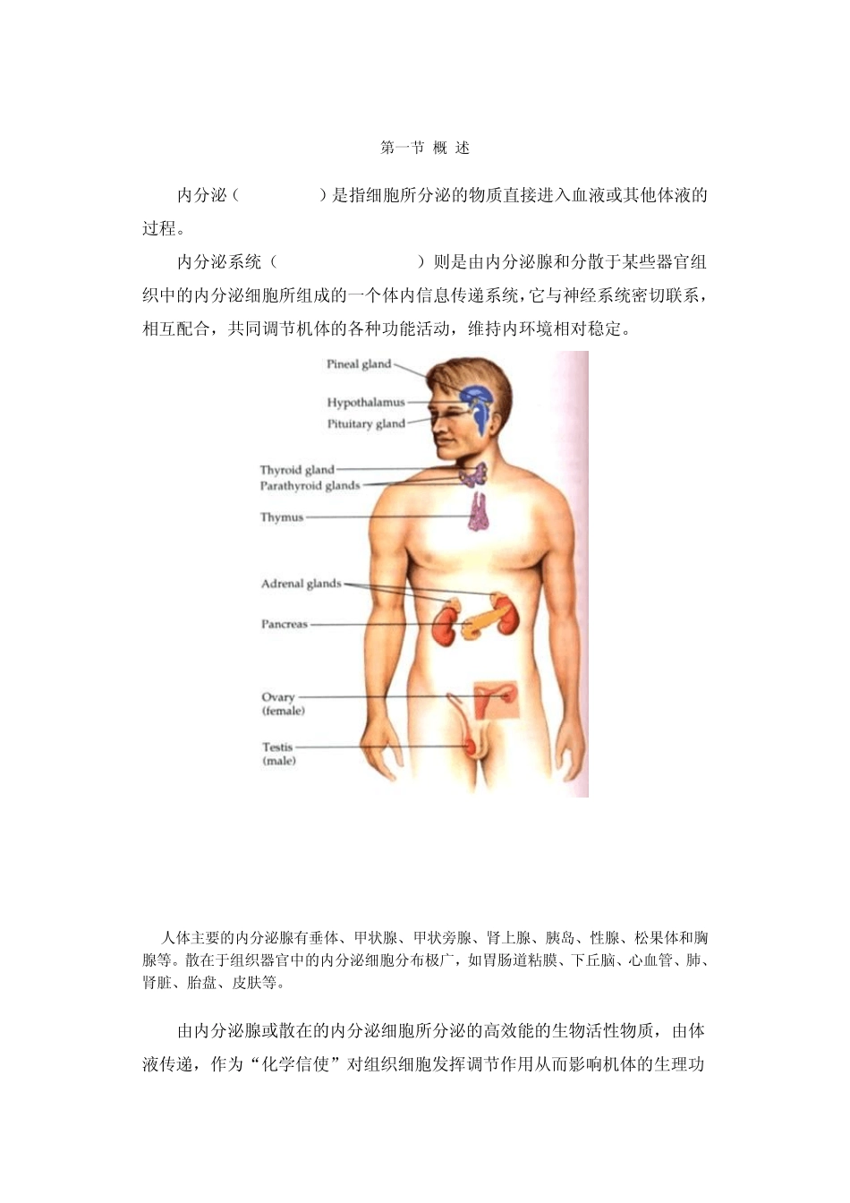 生理学内分泌讲稿_第2页