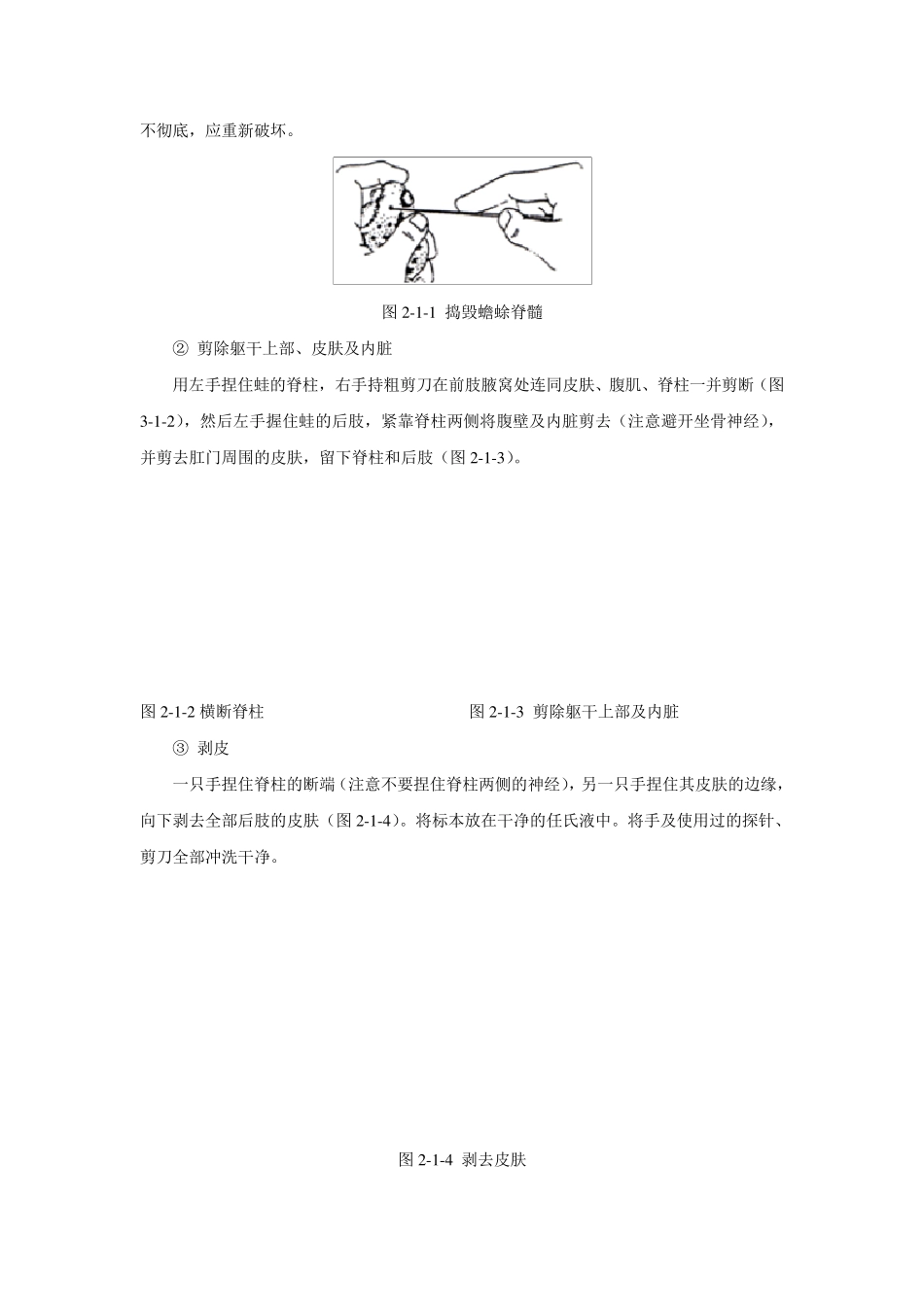 生理学实验报告_第3页