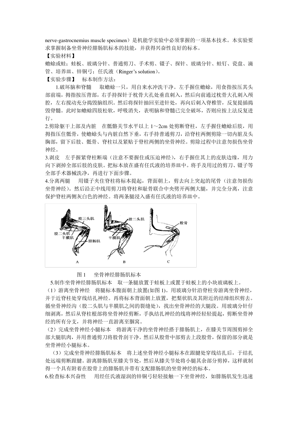 生理学实验指导_第2页