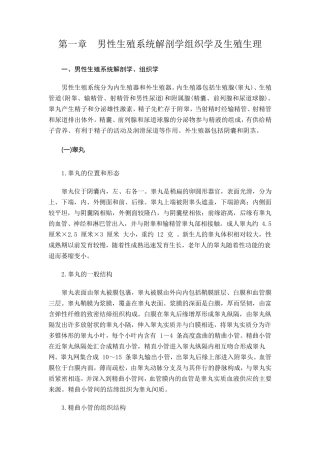 第一章男性生殖系统解剖学组织学及生殖生理