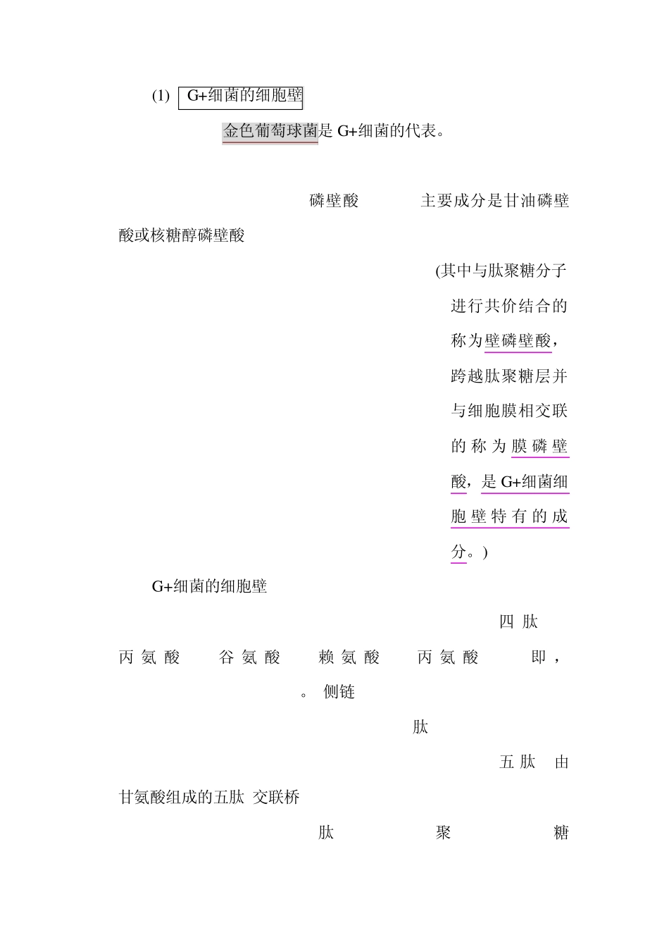 第一章细菌和放线菌_第3页