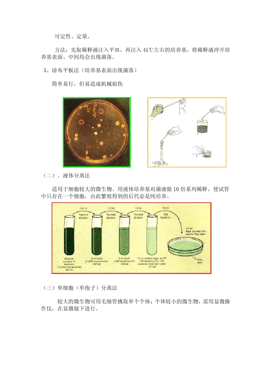 第一节微生物微生物的的的的纯培养纯培养_第3页