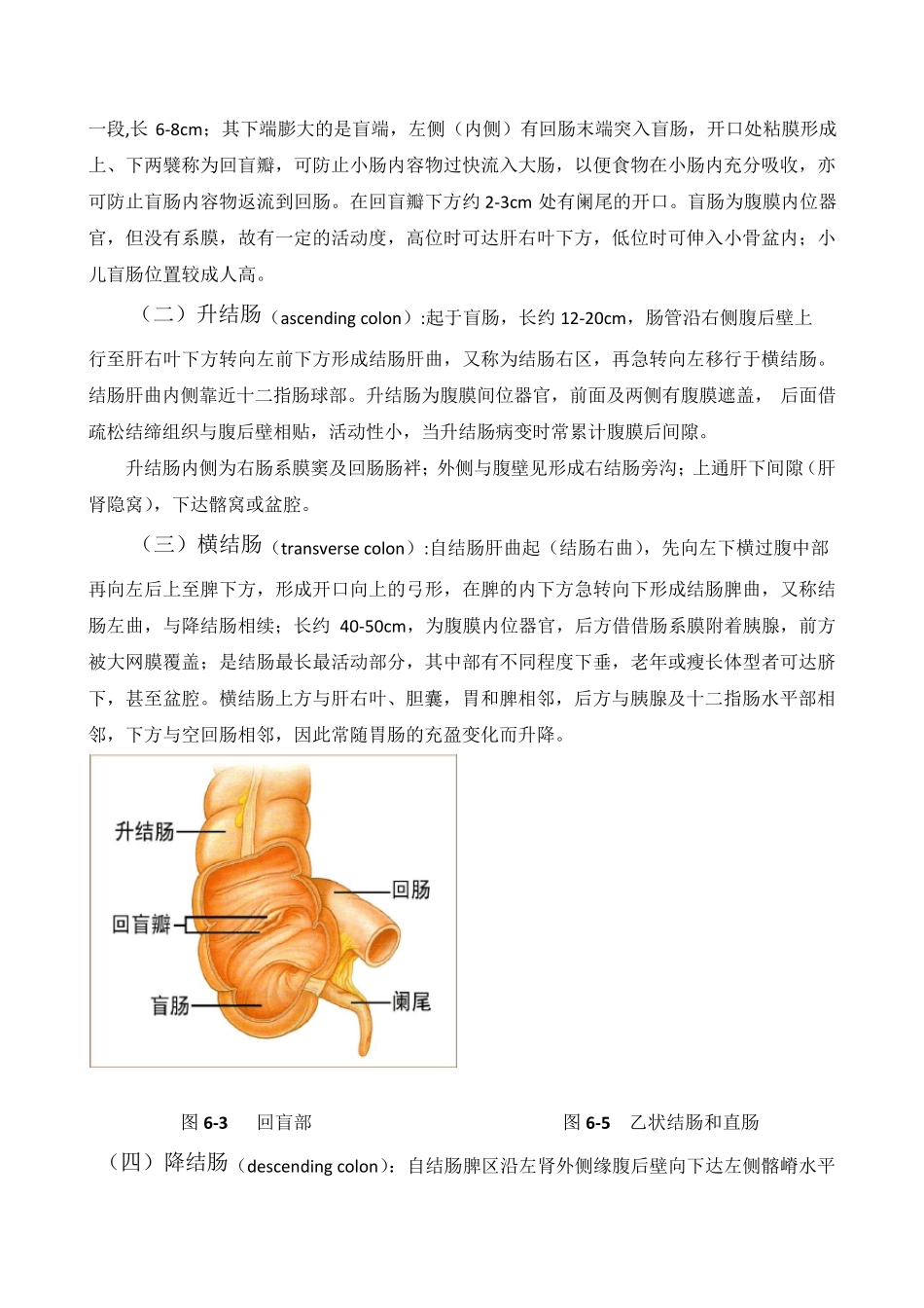 第一节结肠解剖_第2页