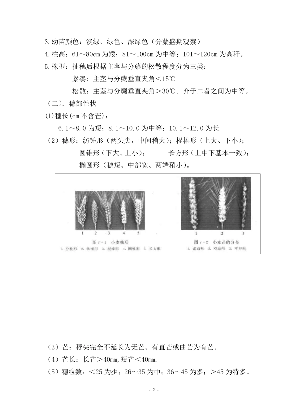 第七章田间检验与种子纯度的种植鉴定_第2页