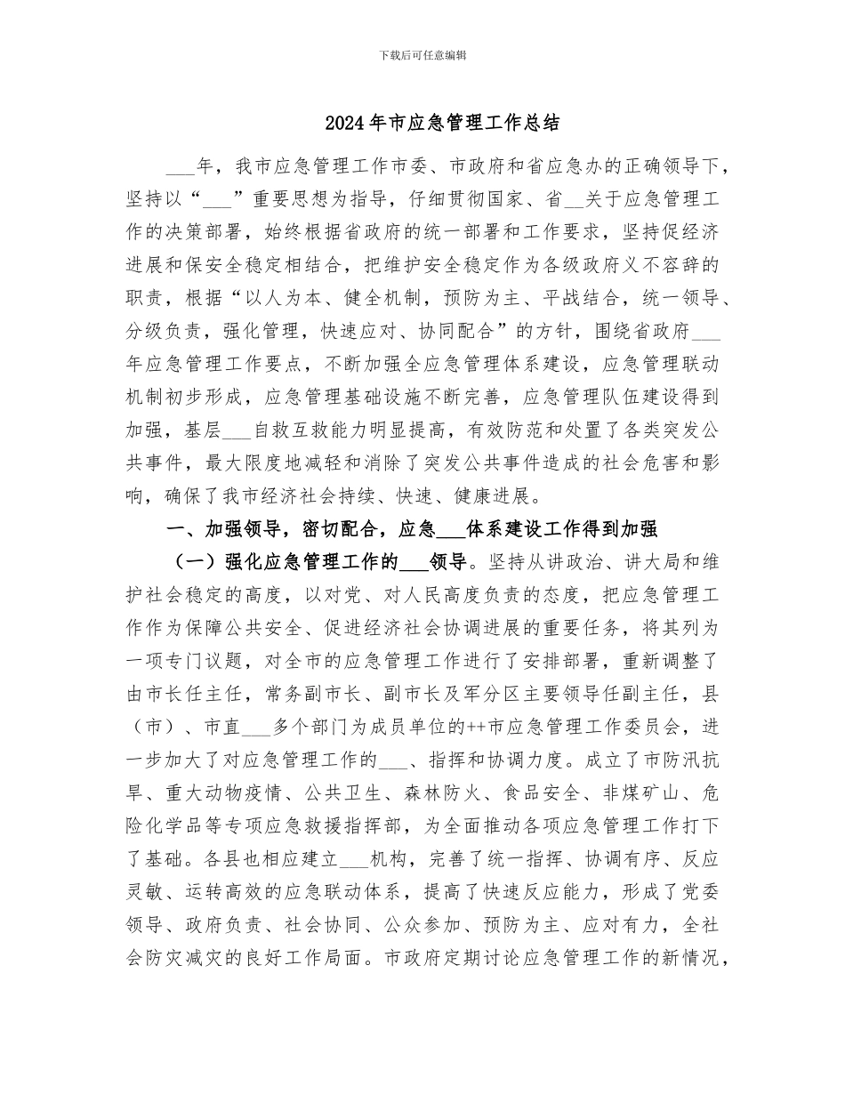 2024年市应急管理工作总结_第1页