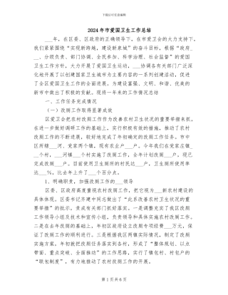 2024年市爱国卫生工作总结