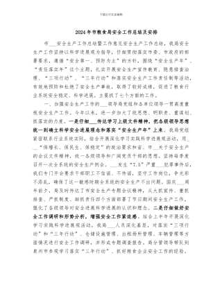 2024年市粮食局安全工作总结及安排