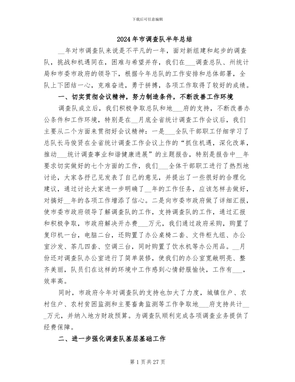 2024年市调查队半年总结_第1页