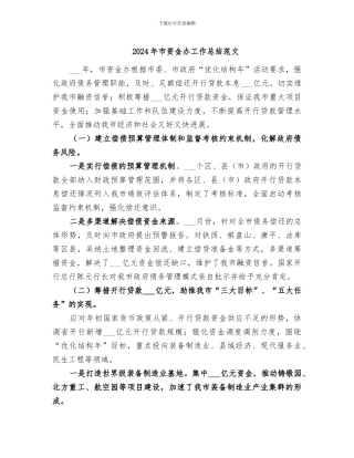 2024年市资金办工作总结范文