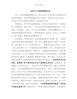 2024年干部挂职锻炼总结