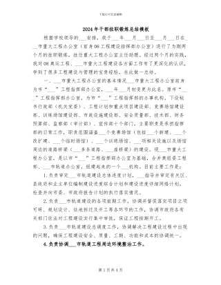 2024年干部挂职锻炼总结模板