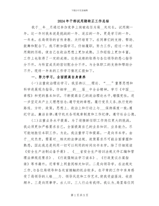 2024年干部试用期转正工作总结