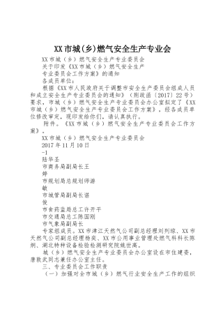 XX市城(乡)燃气安全生产专业会