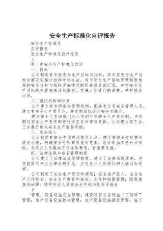 安全生产标准化自评报告