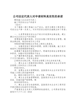 公司法定代表人对申请材料真实性的承诺