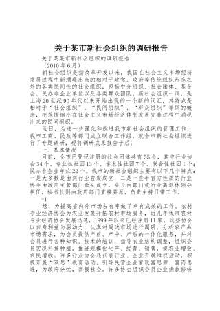 关于某市新社会组织的调研报告