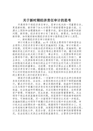 关于新时期经济责任审计的思考