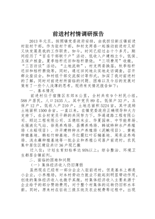 前进村村情调研报告
