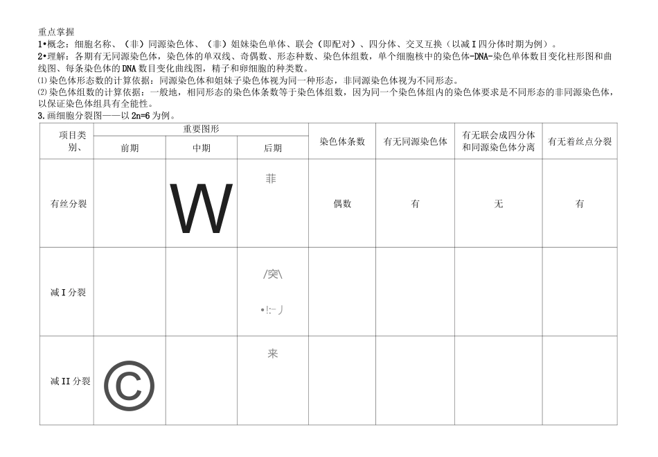 (完整版)减数分裂与有丝分裂图形及曲线绘制汇总_第2页