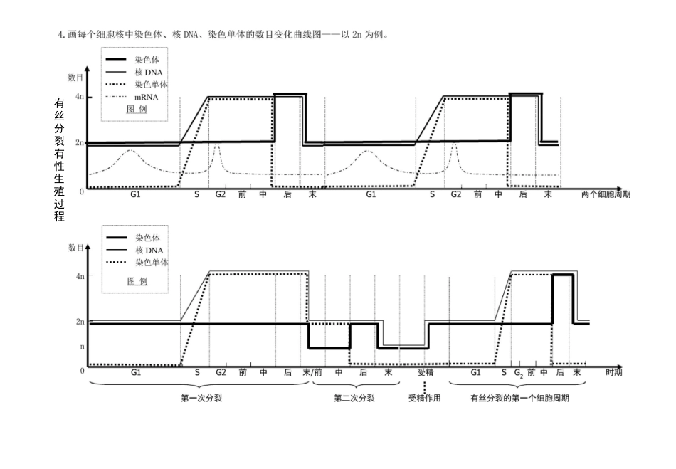 (完整版)减数分裂与有丝分裂图形及曲线绘制汇总_第3页