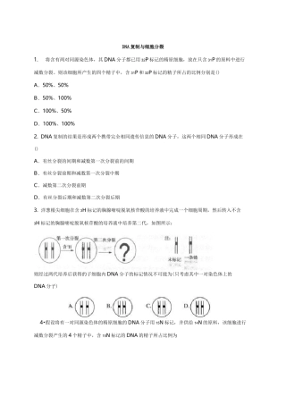 DNA复制与细胞分裂