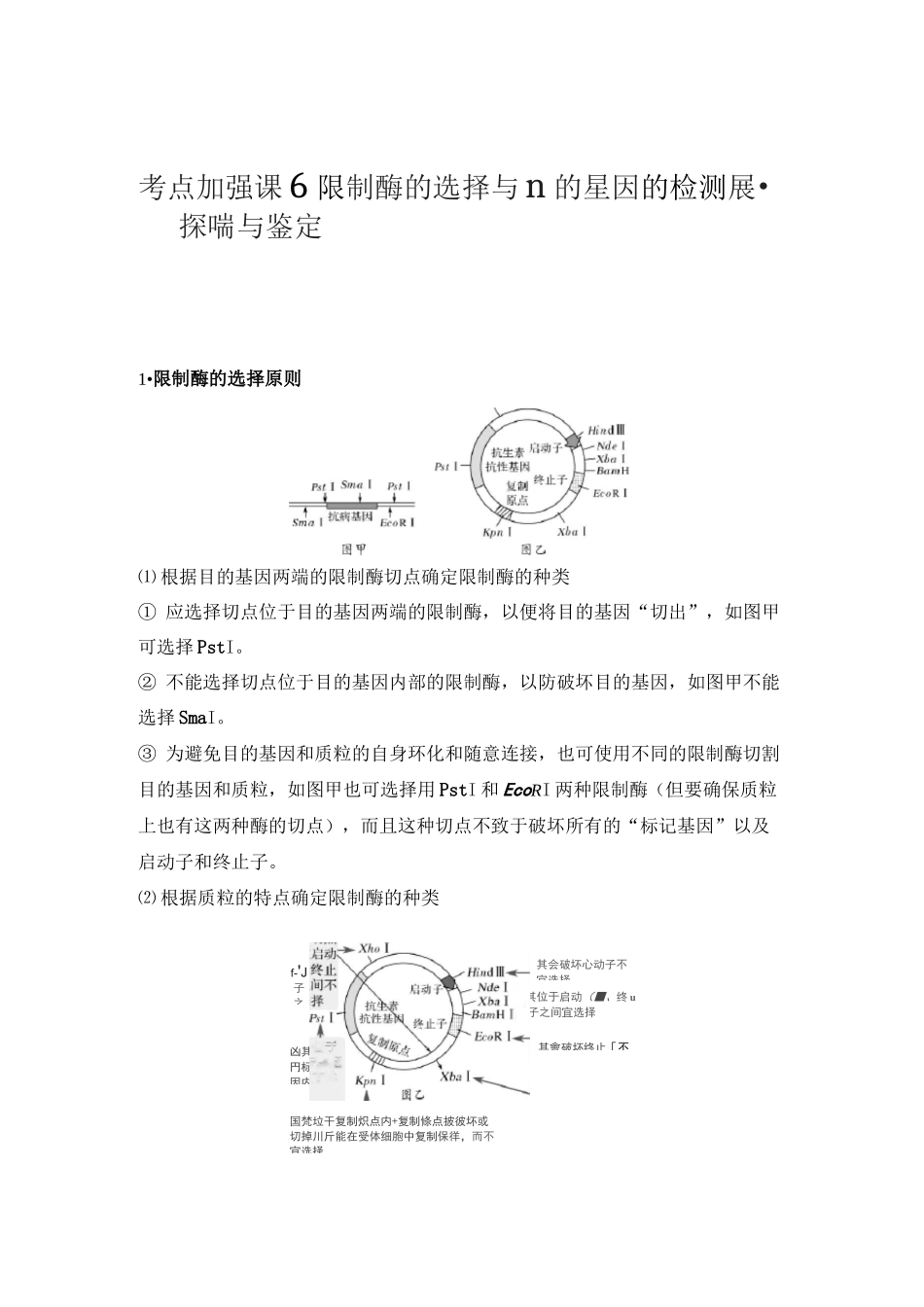 中图版高中生物考点加强课6限制酶的选择原则_第1页
