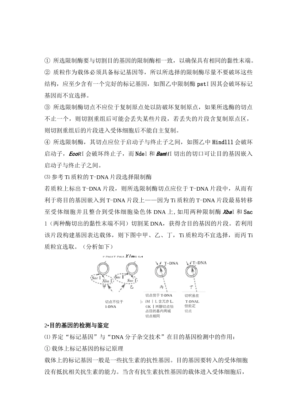 中图版高中生物考点加强课6限制酶的选择原则_第3页