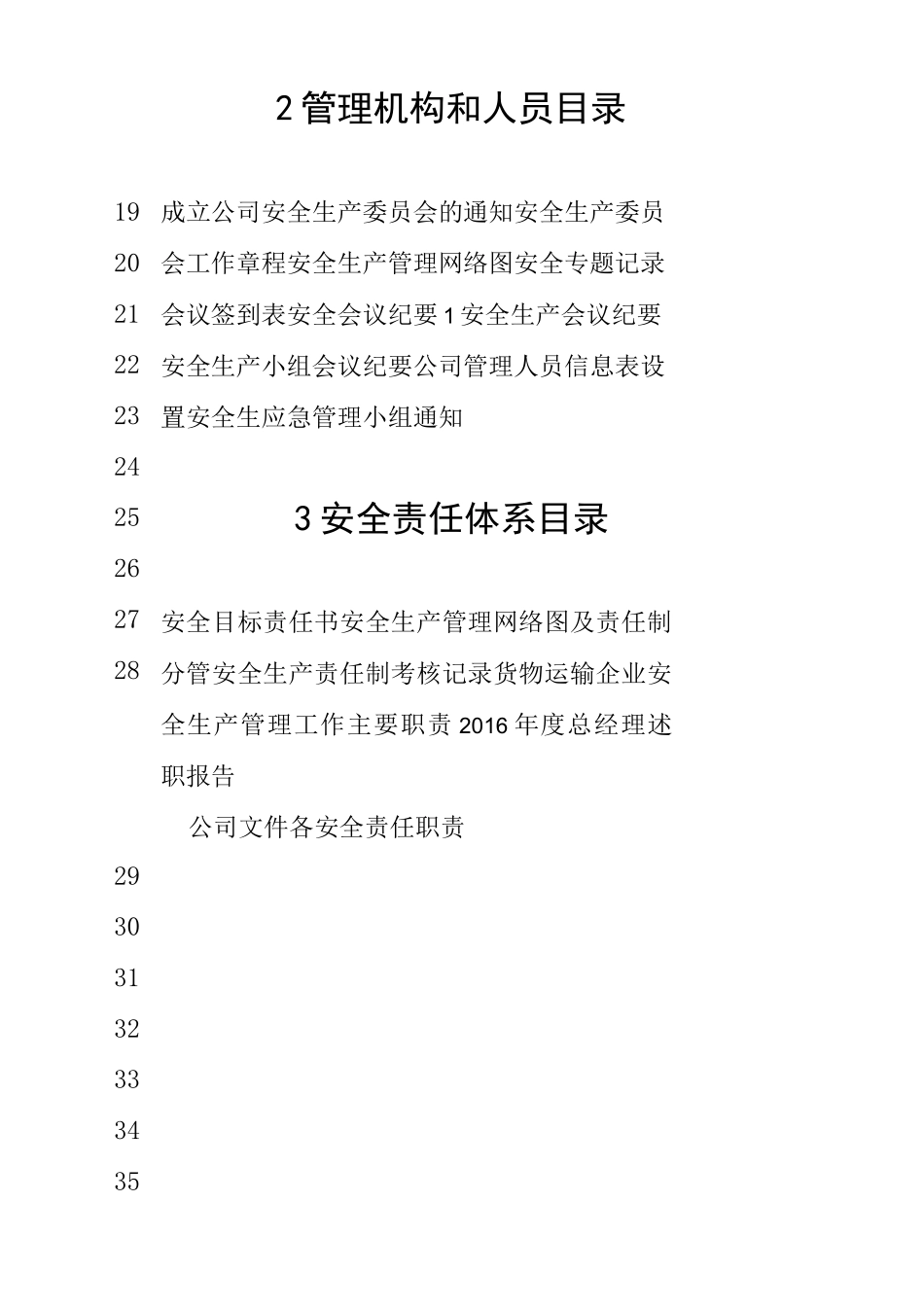 公司安全管理体系_第2页