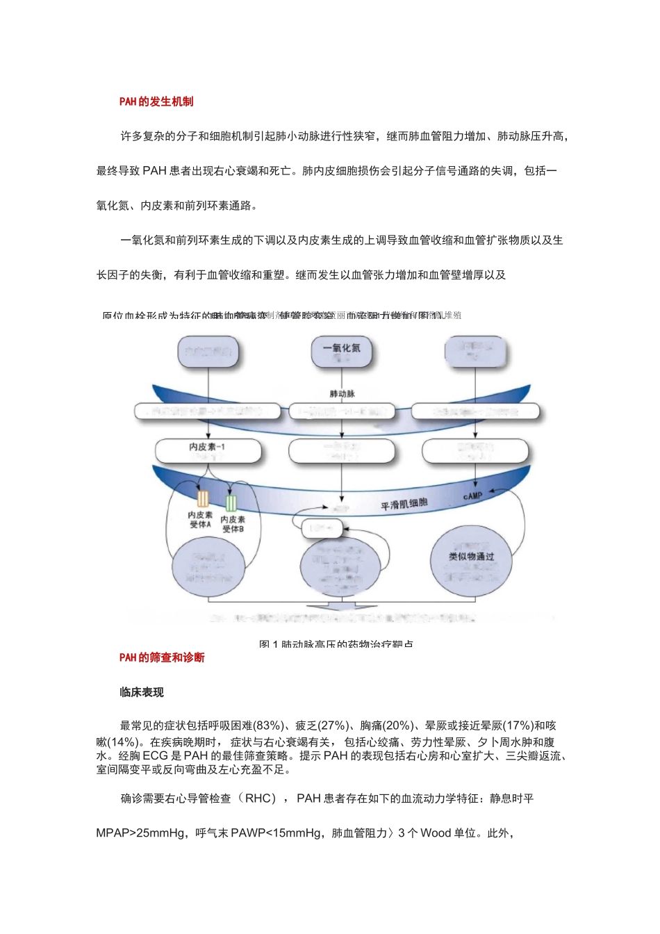 肺动脉高压的发生机制、诊断、风险分级及药物治疗_第2页