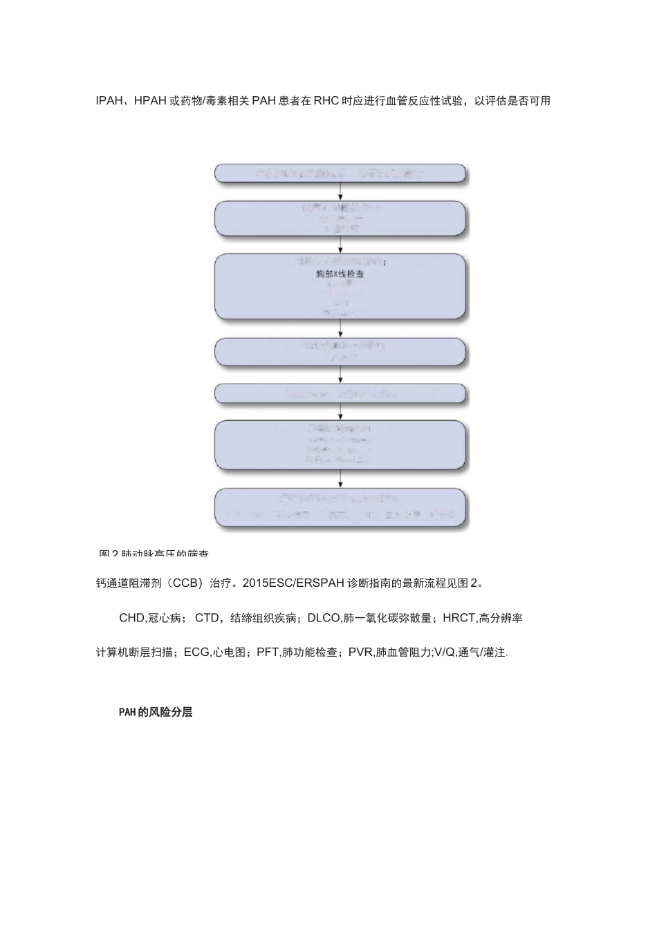 肺动脉高压的发生机制、诊断、风险分级及药物治疗_第3页