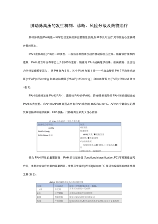 肺动脉高压的发生机制、诊断、风险分级及药物治疗