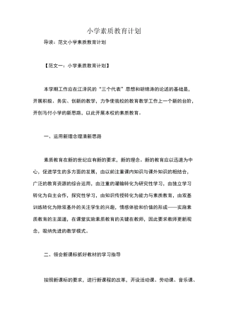 小学素质教育计划