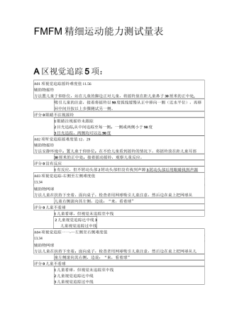 FMFM精细运动量表